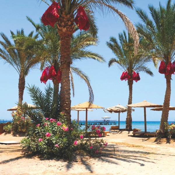 Апарт отель Lillyland Beach Club Хургада Экстерьер фото